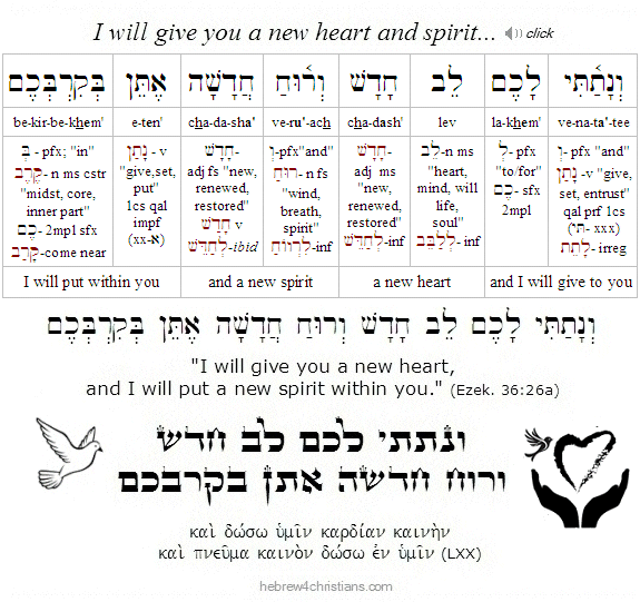 Ezekiel 26:26 Hebrew Lesson