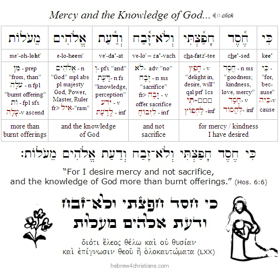 Hosea 6:6 Hebrew lesson