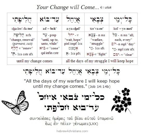 Job 14:14 Hebrew analysis