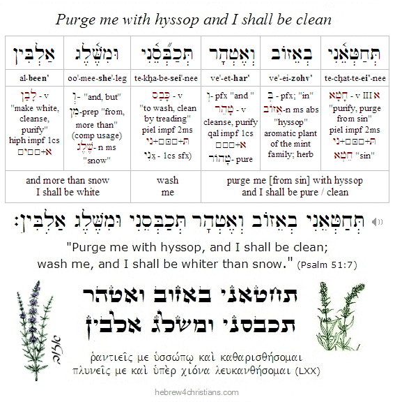 Psalm 51:7 Hebrew Lesson
