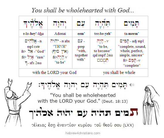 Deut. 18:13 Hebrew analysis