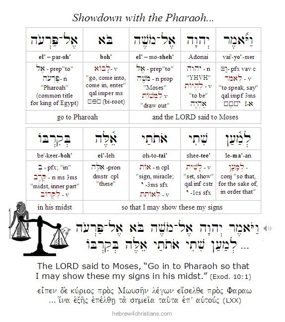 Exodus 10:1a parashat Bo